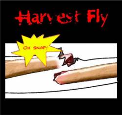 Harvest Fly : Oh Snap!